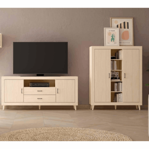Composición de salón bajo TV + módulo de 2 puertas + alto y cubo colgado