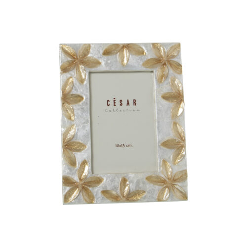 PORTAFOTOS NACAR 10X15CM FLOREJECIDO ALAS