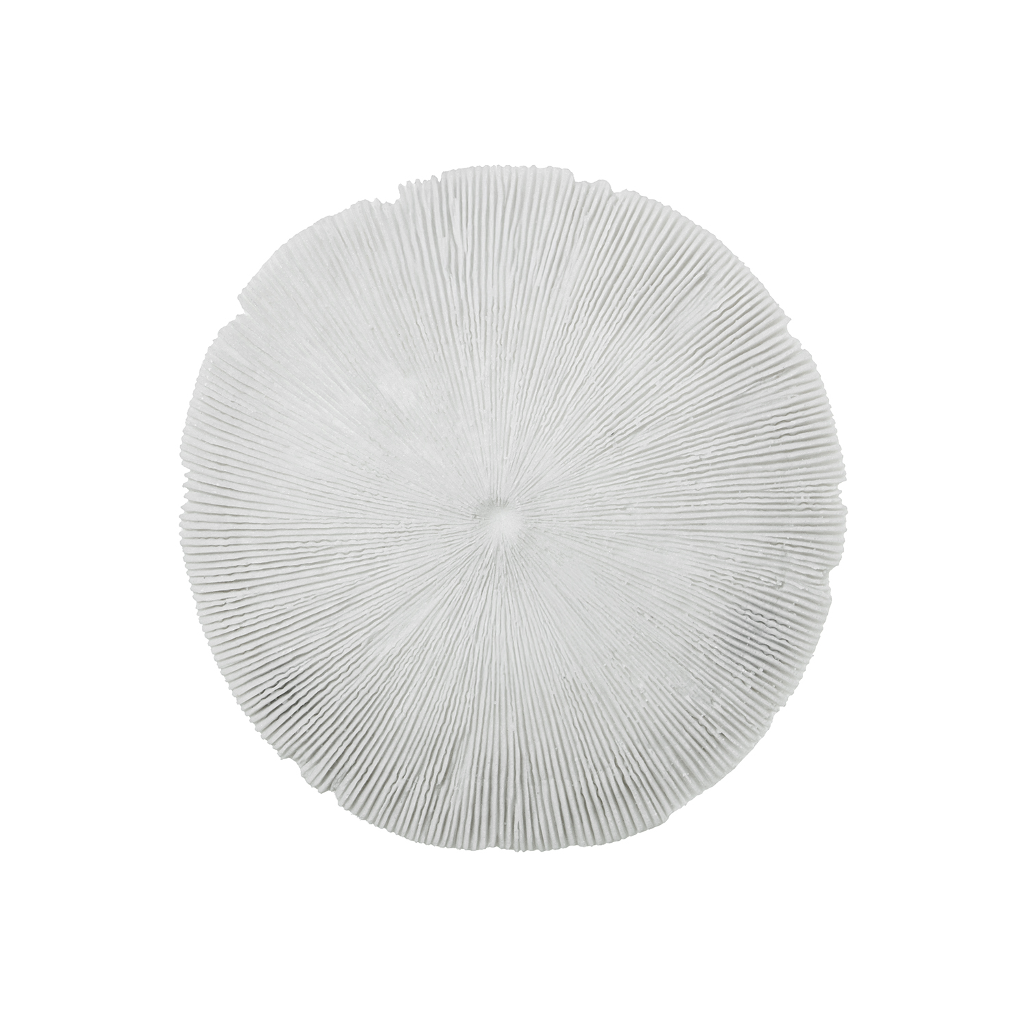 DECORACIÓN PARED RESINA DISEÑOO CORAL 1XE14 MAX.25W NO INCLU