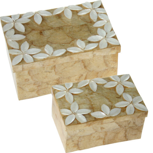 SET 2 CAJAS RECT. NACAR FLORESVE NATURAL/TOSTADO