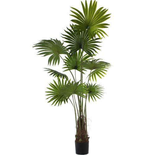 PLANTA ARTIFICIAL PU PALMERA180 CM.