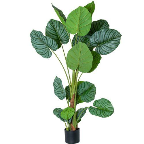 PLANTA ARTIFICIAL CALATHEA ORBIFOLIA 90CM-3 TRONCOS