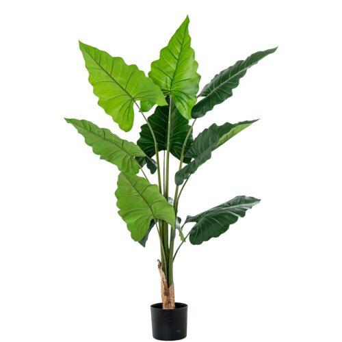 PLANTA ARTIFICIAL ALOCASIA 150AJERO 180 CM 3 TRONCOS 13 HOJ