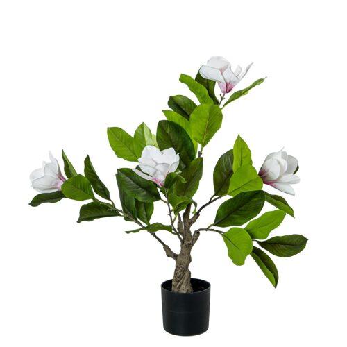 PLANTA ARTIFICIAL MAGNOLIA 68CCM PE+PVC