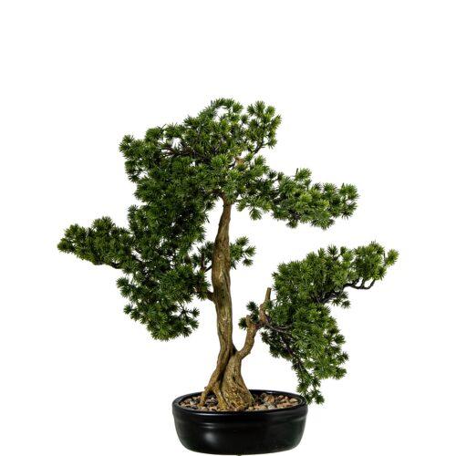 BONSAI ARTIFICIAL PINO 48CM PE+PVC C/MACETA CER MICA